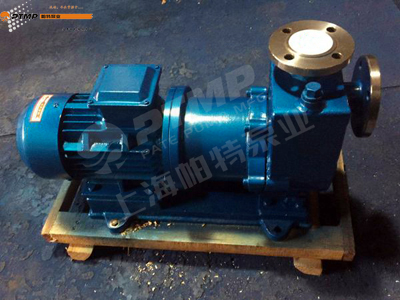 磁力泵與屏蔽泵的十個(gè)不同的地方